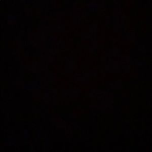 Meet your Posher, King